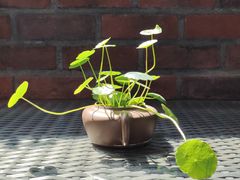 -欧洲房子(宜必思店)