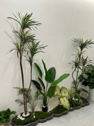 -御品•瑶浴灸疗SPA