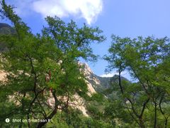 -泰山风景名胜区