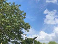 -上海吴淞炮台湾国家湿地公园