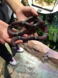 -酷嗒动物文化乐园(cutezoo西溪乐天城店)