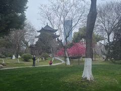 -堤角公园