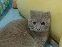 -宠颐生·恒爱宠物医院(静海店)