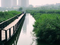 -前关湿地公园