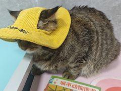 -瑞虹新天地月亮湾