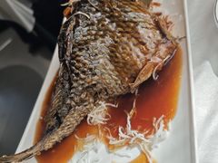 蹭蹦鲤鱼-桂园餐厅(五大道店)