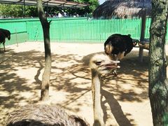 -西霞口神雕山野生动物世界