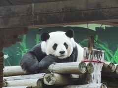 -南昌动物园