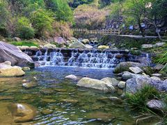 -婺源风景区