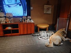 -大江户·温泉洗浴(浑南店)