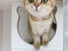 -萌兽医馆·眼科·异宠专科(三里屯店)
