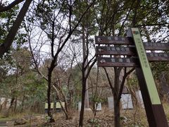 -云龙山