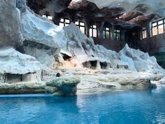 -帝企鹅自助餐厅•儿童岛•真企鹅(长隆企鹅酒店)