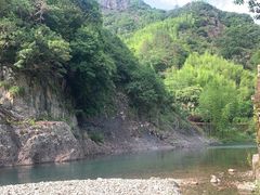 -建军奶油排骨