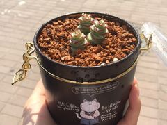 -滇越乘象云南餐厅(豆各庄店)