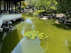-秋霞圃
