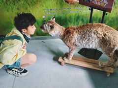 -青藏高原野生动物园