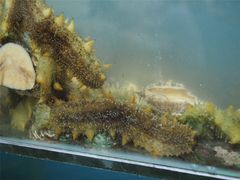 -抹直口特色菜馆(一店)