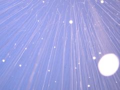-白噪音White Noise·798概念店