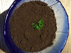 -蜜桃餐厅·江浙融合菜(荟聚购物中心店)