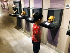 -北京周口店北京人遗址博物馆