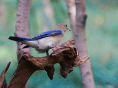 -苏州河梦清园环保主题公园