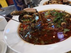 -院8里·少城记忆老川菜(宽窄巷子店)