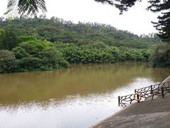-滴水岩森林公园