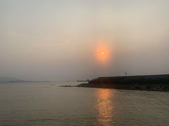 -大湾区中央湿地公园