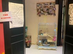 -猫色咖啡·猫咖