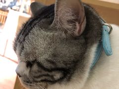-小时光咖啡馆(开森度假森林店)