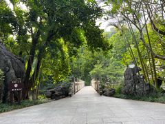 -深圳国际园林花卉博览园