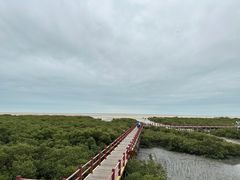 -北海金海湾红树林生态旅游区