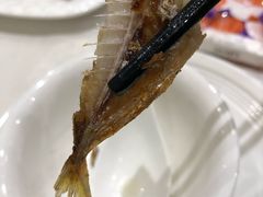 -鹅城