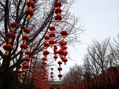-天坛公园