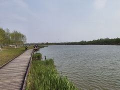 -西青郊野公园
