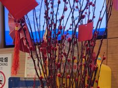 -JOYA湾悦国际酒店(世界之窗店)