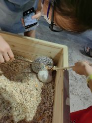 -酷嗒动物文化乐园(cutezoo西溪乐天城店)