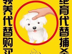 -艾贝尔宠物医院 ·中兽医·宠保定点(北门桥店)