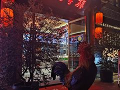 -土桥手掌鸡·26年灌县老味道(都江堰店)