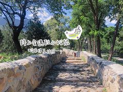 -阳台山自然风景区