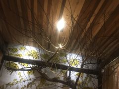 -渔太泰漓江小馆·广西融合菜(西街店)