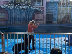 -华夏文旅海洋公园