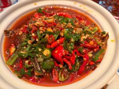 -欧记大排档·景德菜(上海首店)