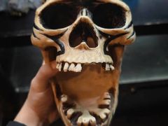 -逃脱反斗城沉浸剧情密室(北京路店)