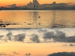 -深圳湾公园(南山区)
