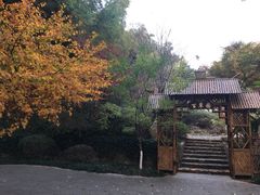 -上海市保健医疗中心