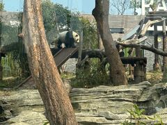 -武汉动物园