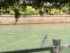 -西园戒幢律寺