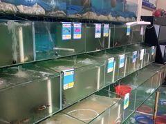 -琼大师东方烤乳猪(亚特兰蒂斯店)